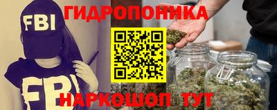 сатива Канаш